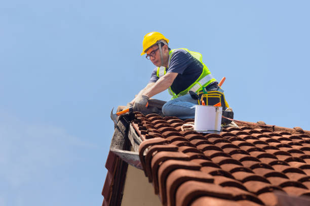 Best Roof Maintenance and Cleaning  in State Center, IA